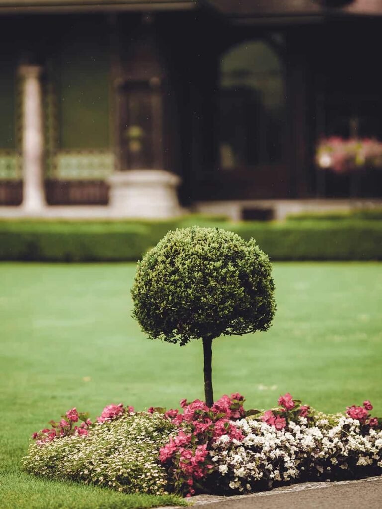 Environmental sustainability and climate resilience